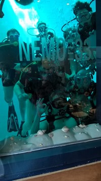 wp_20160320_13_54_20_pro.jpg